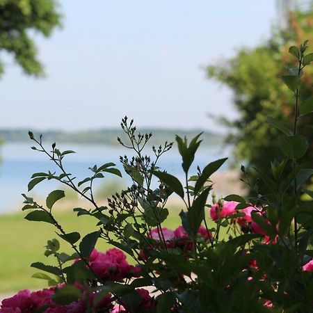 Le Port Mesnil Villa Dış mekan fotoğraf